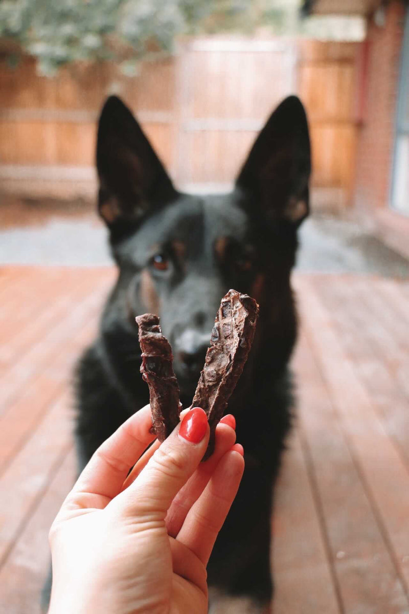Beef Bites 80g - Dante’s Pet Shop