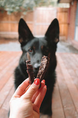Beef Bites 80g - Dante’s Pet Shop