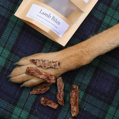 Lamb Bites 80g - Dante’s Pet Shop